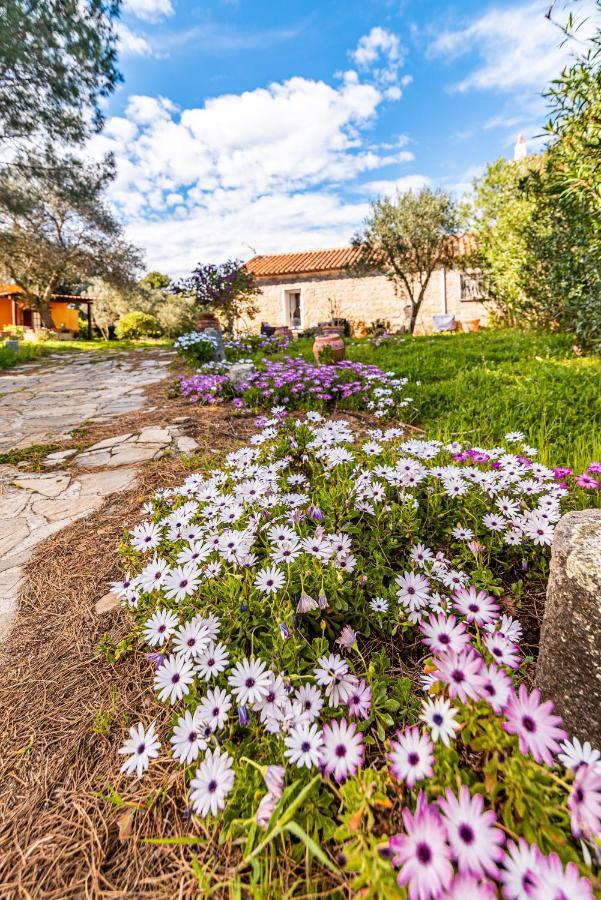 Casa Lilliosa Villa Campavaglio Buitenkant foto